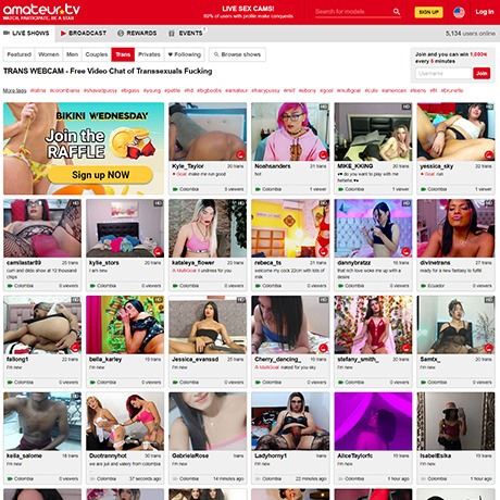 Amateur TV