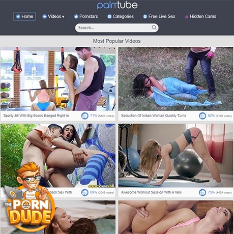 PalmTube