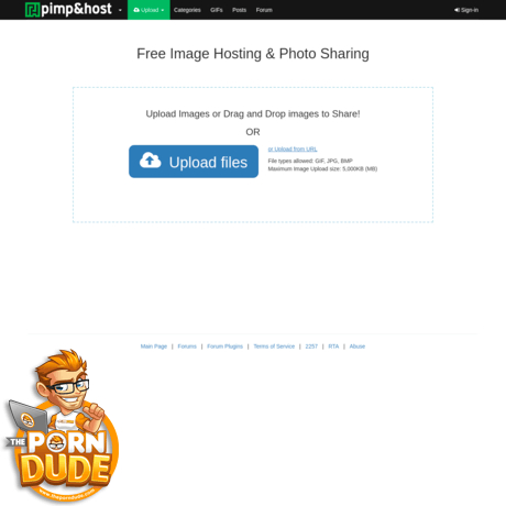 PimpAndHost