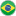 Brazilian Transsexuals