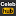CelebHub