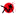 XVideos Downloader